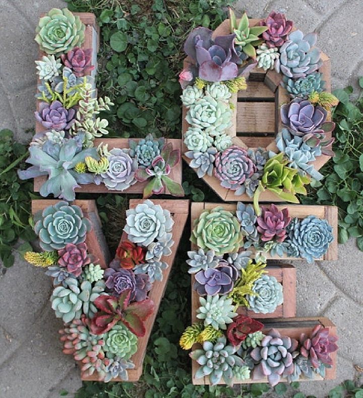 Boho Pins: Top 10 Pins of the Week – Succulents at Weddings