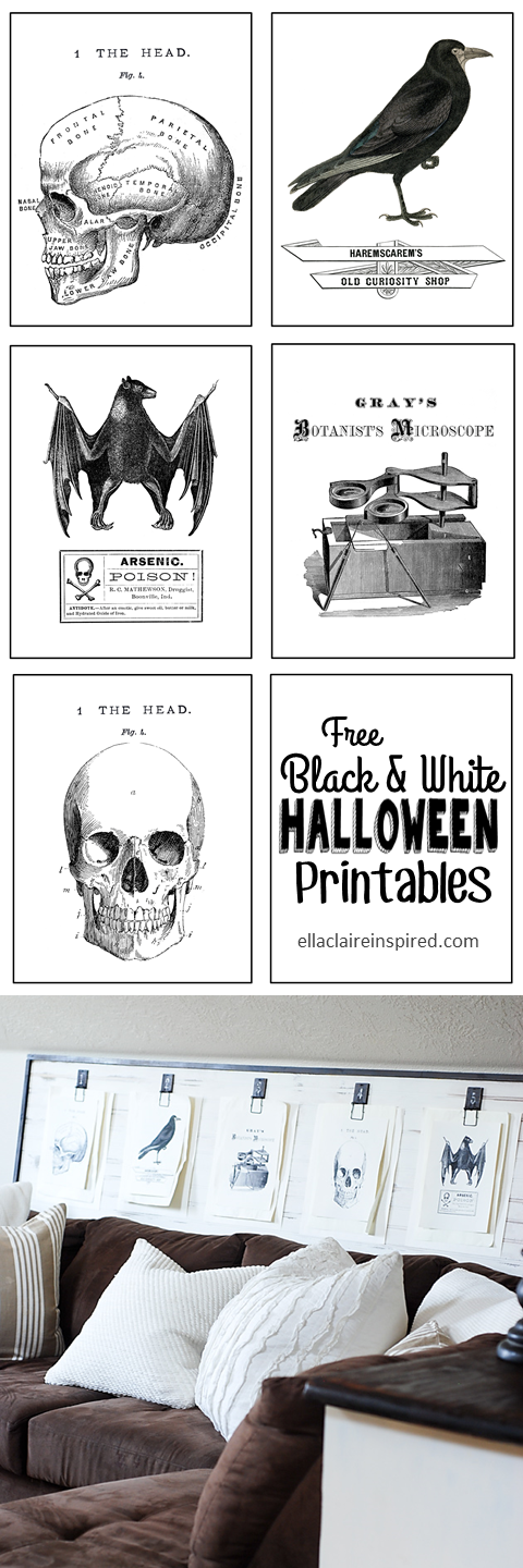 Free Black and White Vintage Halloween Printables with a link to the tutorial to make this fun Mousetrap Wall art board! details