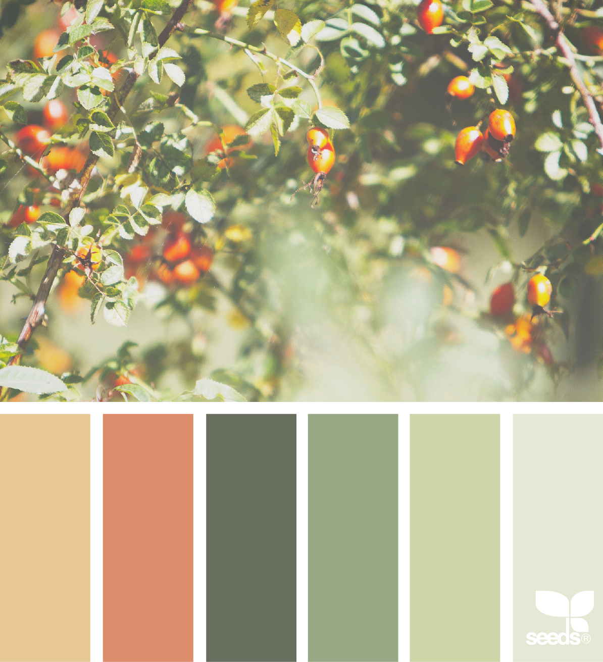 { fresh hues } image via: @tangledgarden  Voor meer kleurinspiratie kijk ook eens op