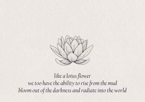 Like a lotus flower we too have the ability to rise from the mud, bloom out of the darkness and radiate into the world