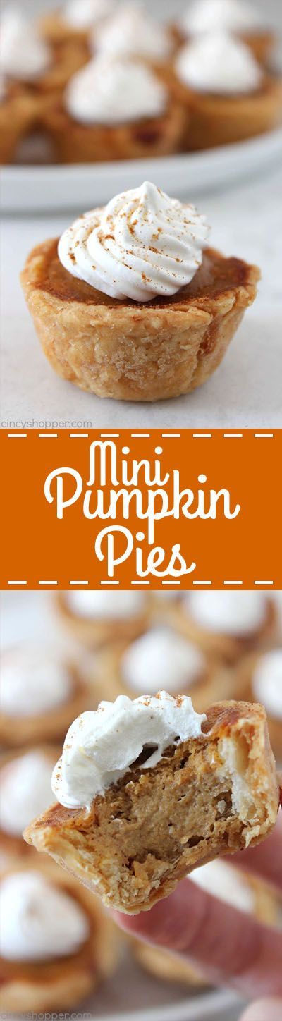 Mini Pumpkin Pies – Cincy Shopper – this is a cute and easy Thanksgiving or Christmas dessert idea.