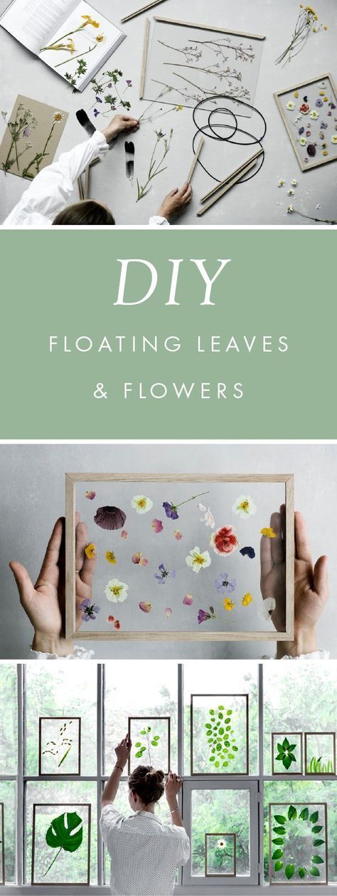 nice DIY Gift Idea // Minimalist Framed Floating Leaves & Flowers by