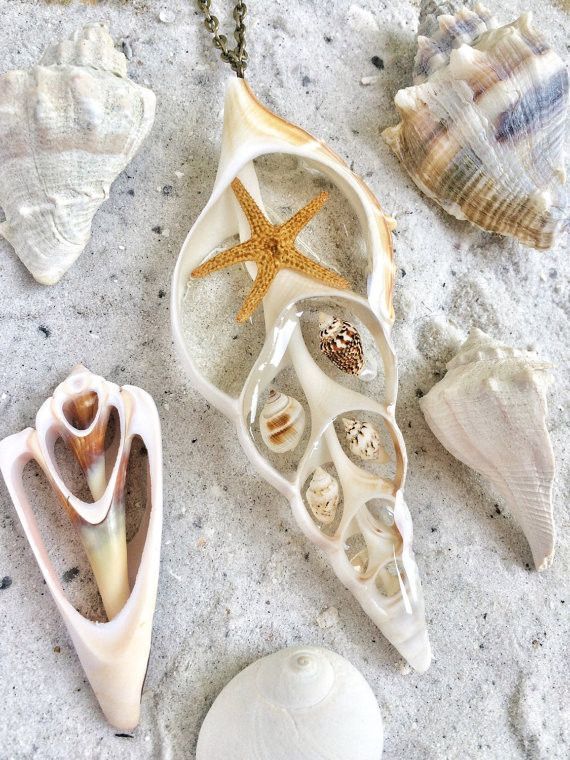 Pendant Details: -Made of a real sea shell slice and contains a real sea shells -Resin is used to fill the shell to keep the other