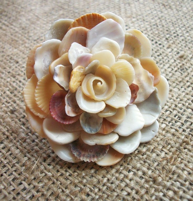 seashell flowers | Seashell | Seashell Flower