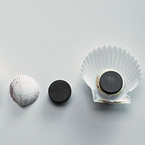 Shell Crafts | Get organized with shell magnets | AllYou.com
