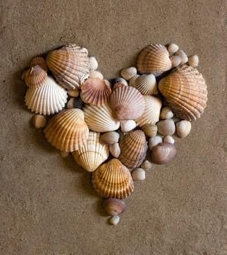 shell heart art–perfect for remembering a beach vacation.