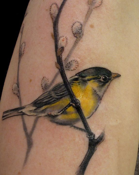 tattoos by Esther Garcia of Butterfat Studios Chicago great inspiration for the redwing blackbird on a cat tail that I would like