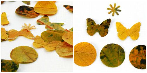 Collect the mark of autumn – share creative ideas for making plant leaves