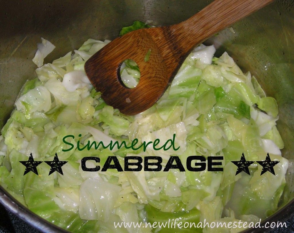 This is seriously the BEST cabbage recipe ever. So simple, cheap, and delicious. Even my kids gobble it up! from