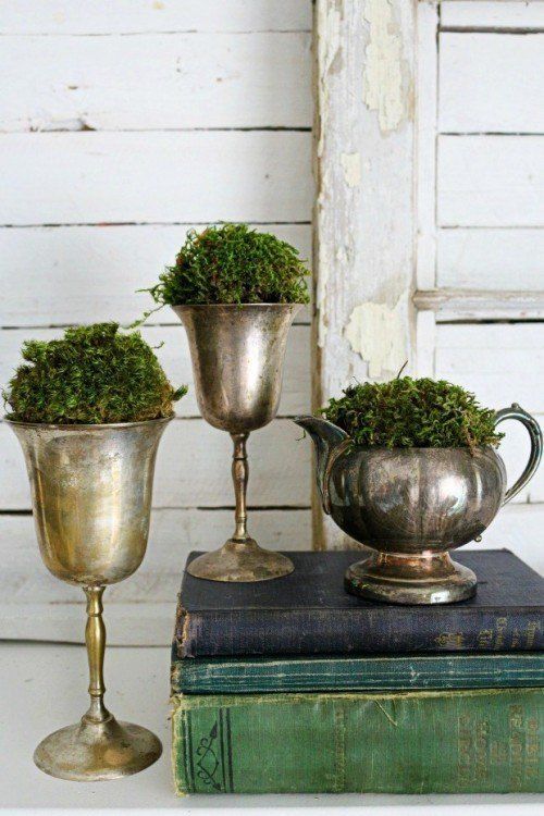 Using Greenery in Your Space. Vintage containers and moss.
