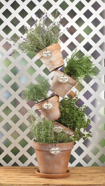 35 Herb Container Gardens ~ Pots & Planters {Saturday Inspiration & Ideas} – bystephanielynn