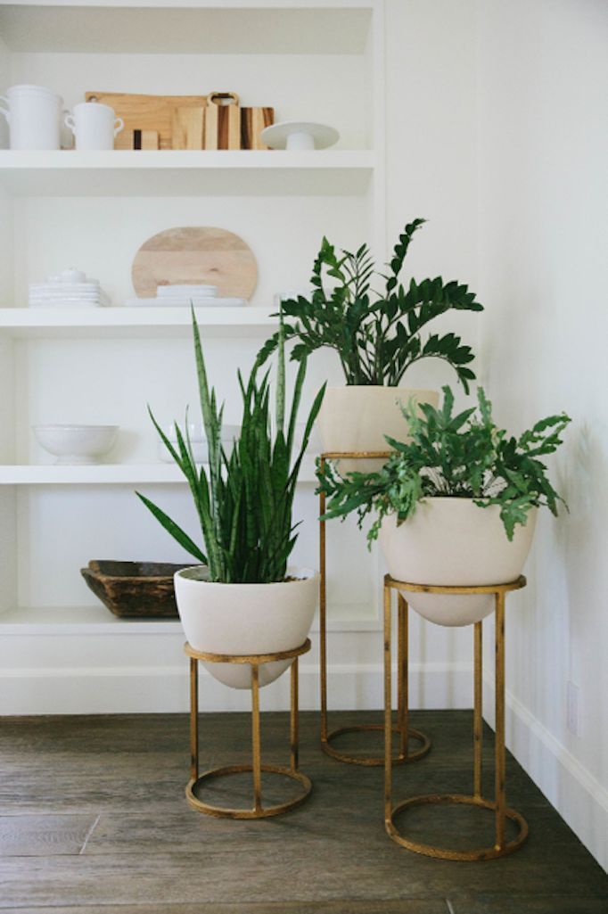 BECKI OWENS- Styling Tip: Adding Greenery with Succulents