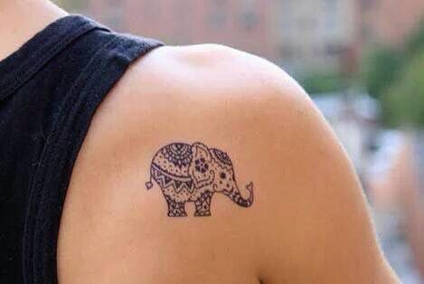 Cute little elephant