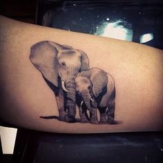 Elephant tattoos