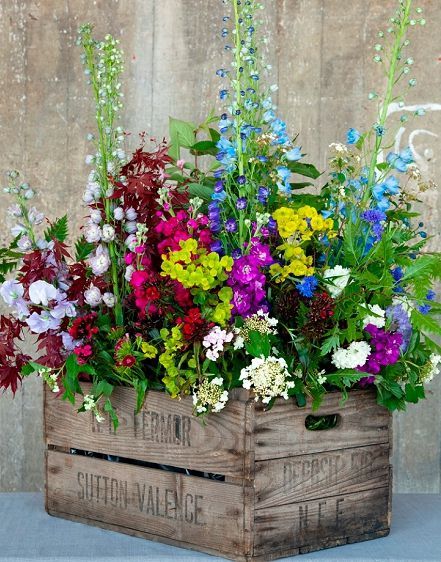 ~~Flowers fill a vintage wooden crate | delphiniums with viburnum, stocks, euphorbia, sweet williams and British-grown foliages |