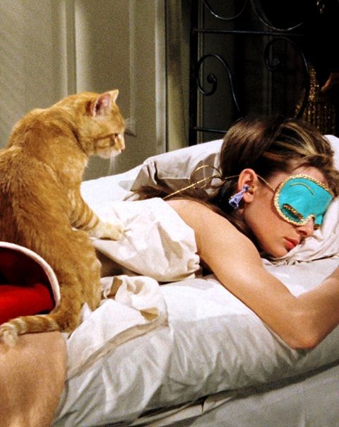 Holly Golightly: He’s all right! Aren’t you, cat? Poor cat! Poor slob! Poor slob without a name! The way I see it I haven’t got