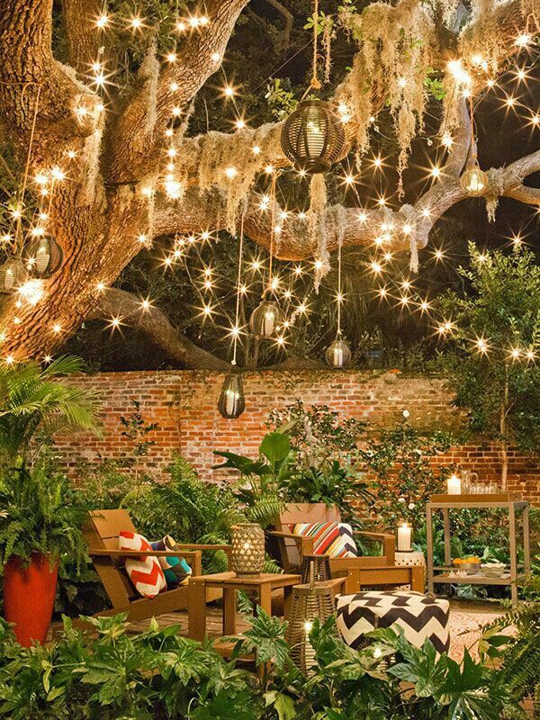 I don’t care what happens but I will have a gorgeous tree by the outside seating area and it will have lights on it. I just love