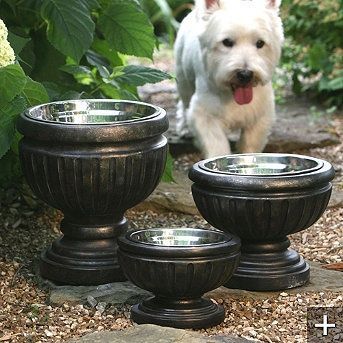 Put dog bowls in planters for a nicer look on the patio. @Megan Ward Ward Ward Ward Ward Ward Bruce