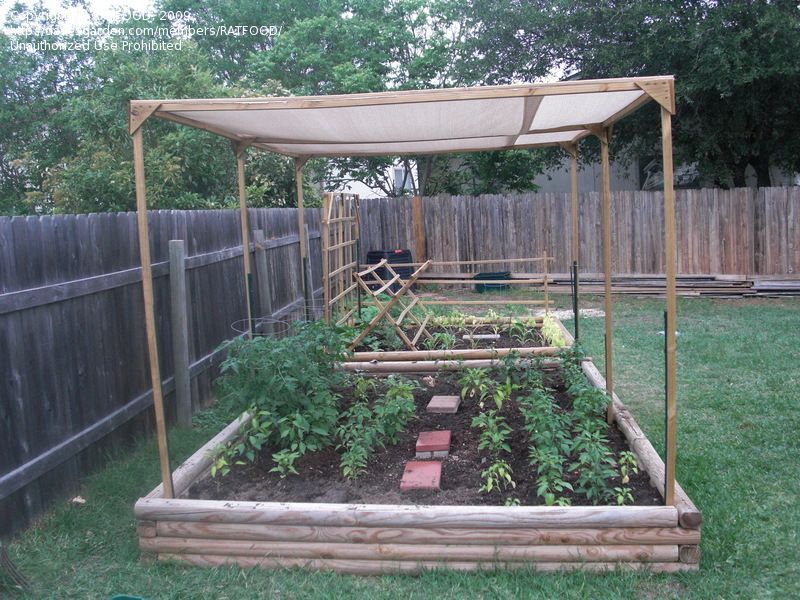 raised garden with a shade cloth to protect the veggies from direct (HOT) sun! the shade cloth is called “sun screen fabric”