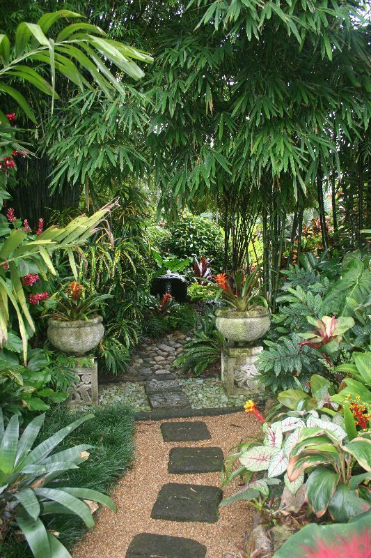 Such a pretty tropical garden – The International Cordyline Society: