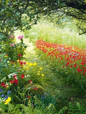 summer flowers along country path // Swede Cottage Farm ♥ this //