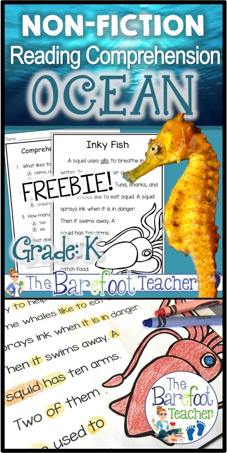 This FREE ocean reading comprehension activities download will go great with the other ideas, lesson plans, and crafts you have
