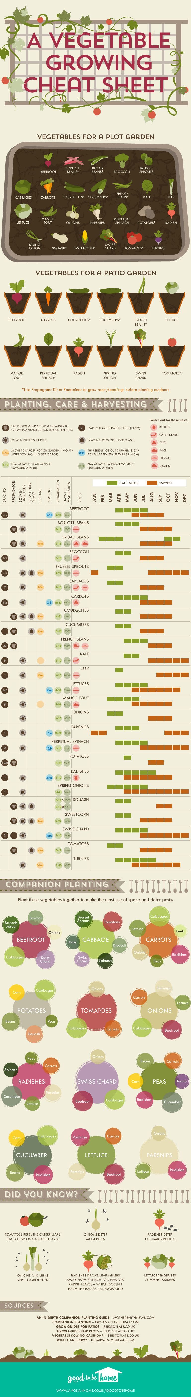 This Genius Cheat Sheet For Gardeners Tells Where And When To Plant Your Vegetables