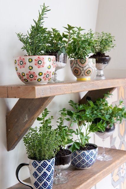 Use cocktail glasses and mugs for a stylish way to grow your herbs! #HomeGoodsHappy