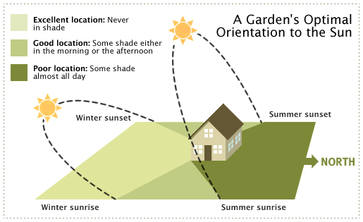 Where to Put the Vegetable Garden on the Smart Gardener Blog