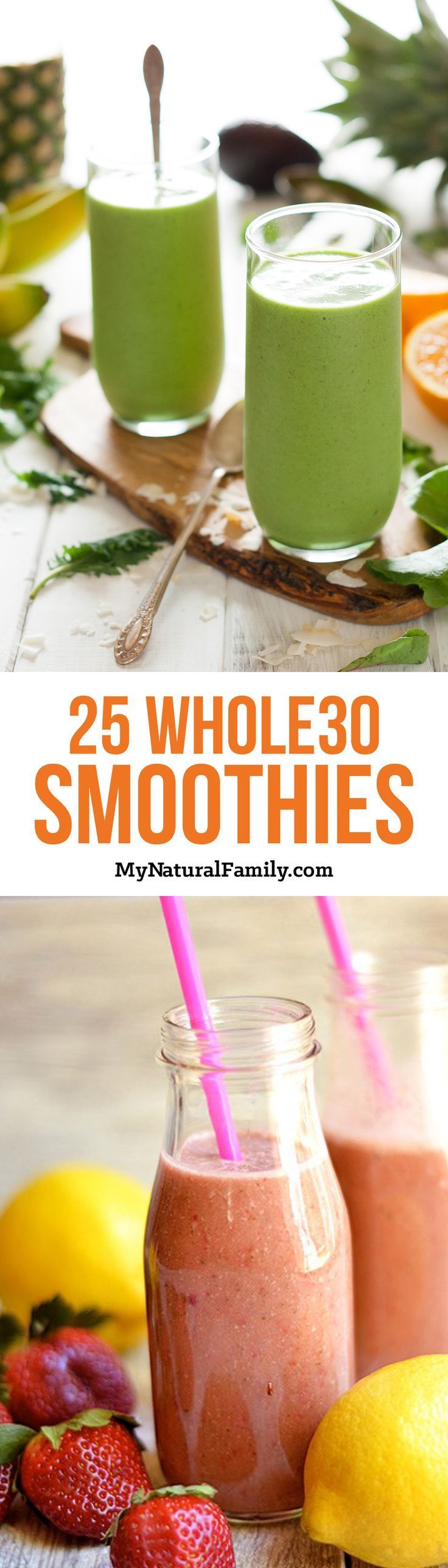 25 Paleo Breakfast Smoothie Recipes Part 2 with No Added Sweeteners