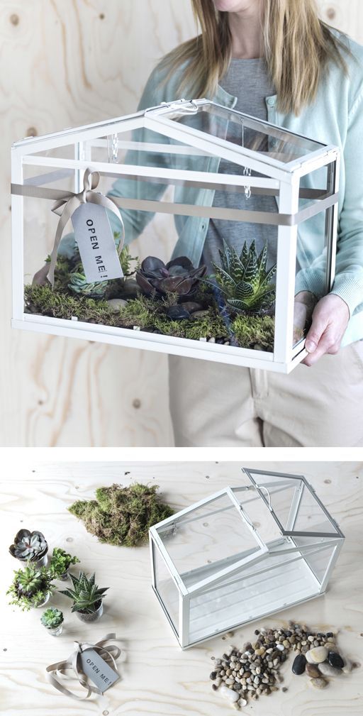 A woman carries an IKEA SOCKER greenhouse filled with moss and succulents.