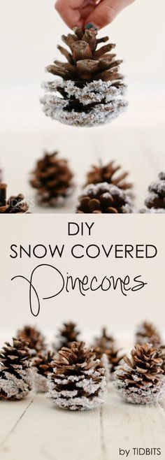 Add elegant rustic charm to your Christmas decor with these easy and inexpensive DIY Frosted Pinecones