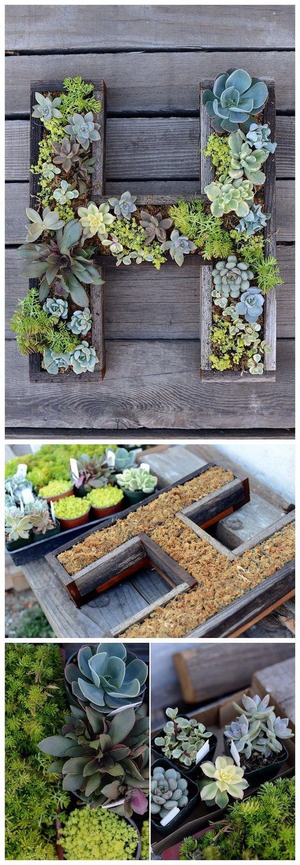 DIY Wall-Mounted Succulent Letter. Make this wall-mounted succulent letter planter and bring in some greenery to your home.