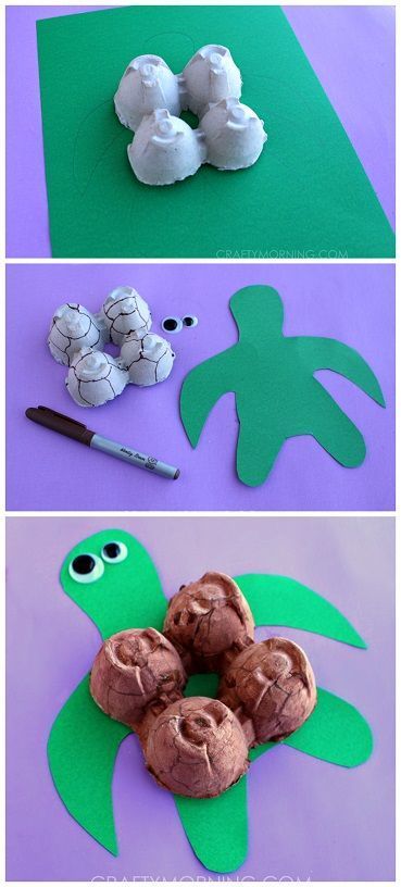 Egg Carton Turtle Craft for Kids! | CraftyMorning.com