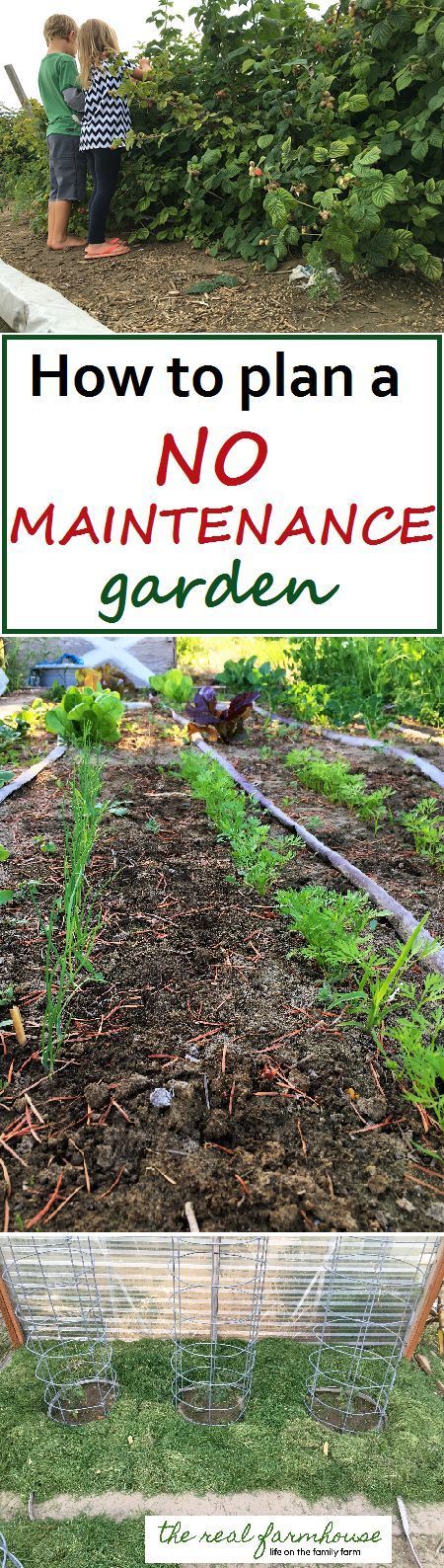 Great advice for planning a no maintenance garden! 5 secrets and how to implement them in the garden.