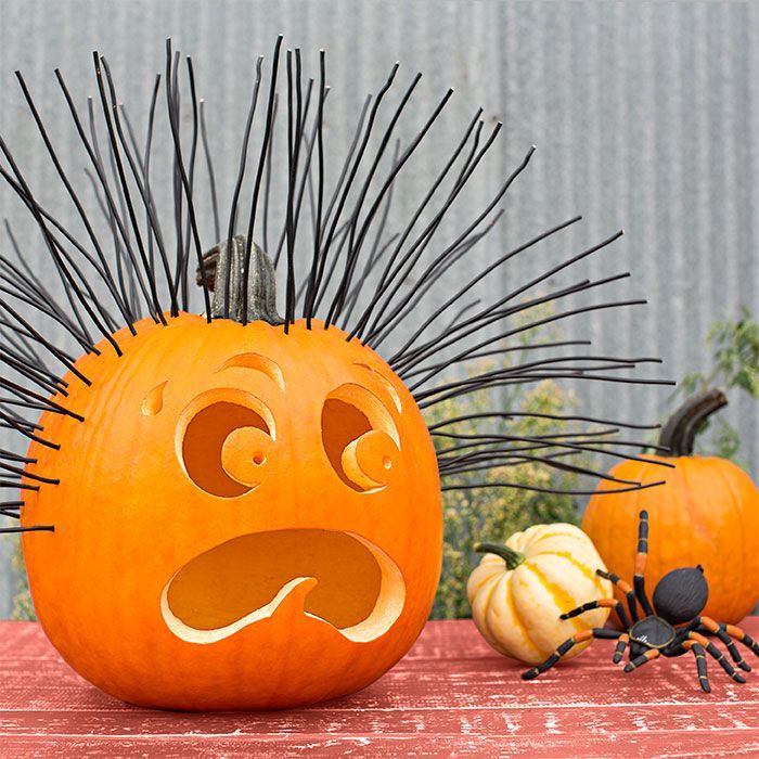 Hair-raising pumpkin, gourds and spider.  Hair-Raising Experience Strands of black electrical wire emanate 180 degrees of emotion