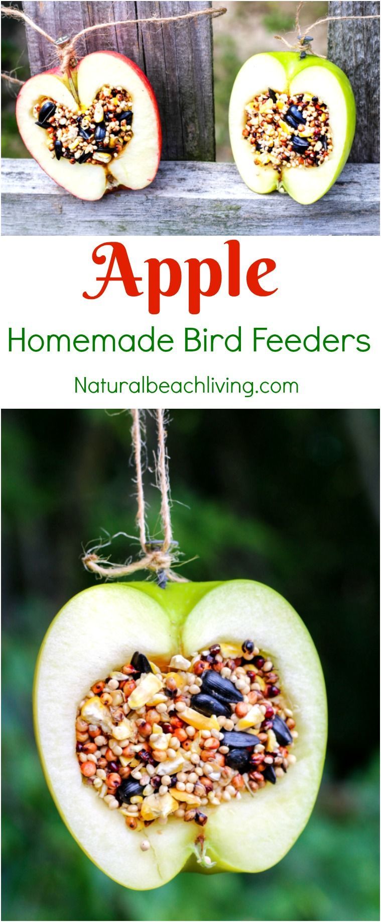 How to Make Apple Birdseed Homemade Bird Feeders, Apple Bird Feeders, Easy Homemade Bird Feeders, Great Fall Craft for Kids,