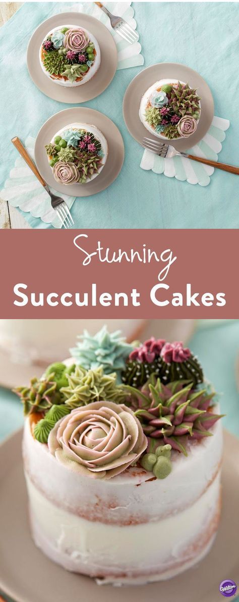 How to Make Succulent Cakes – Learn how to use the decorating tips in your collection to create amazing blooming succulents. Great