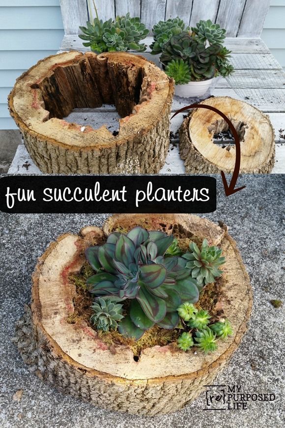 How to use old rotted pieces of tree trunk to make easy diy succulent planters. Sheet moss is the secret ingredient to make it all