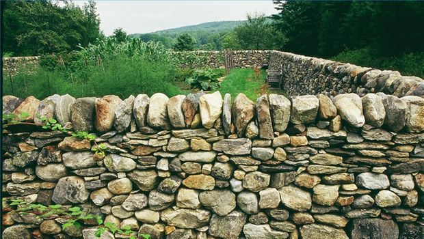 I would really love to have at least a partial stone wall around the house and or garden.