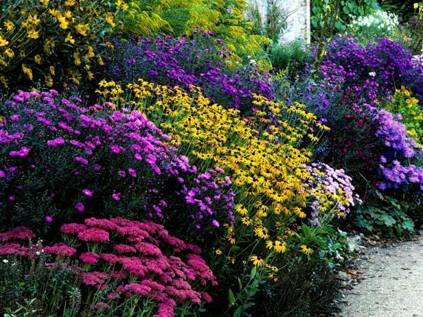 If you have a sunny, sheltered border, you have the makings of a butterfly garden. This guide from HGTV will help you get started.