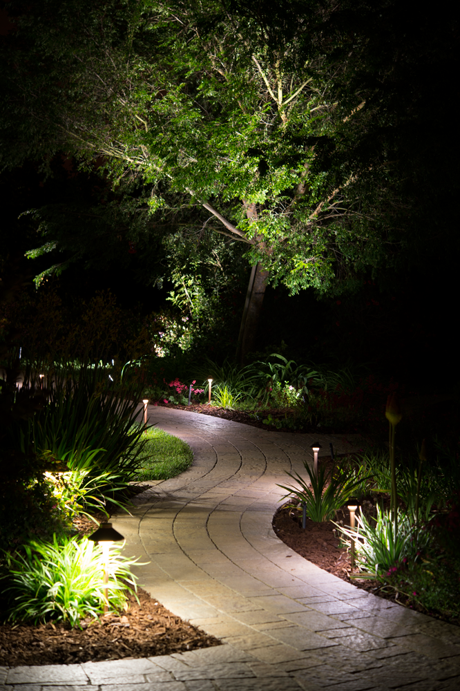 Landscape Lighting … I want them nice and bright … I don’t like the dim cheap look of the solar powered lights …