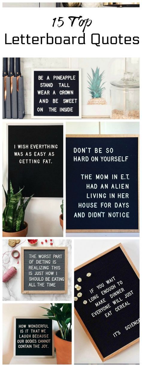 Letterboard Quotes- Top 15 Funny and Inspirational Letterboard Quotes