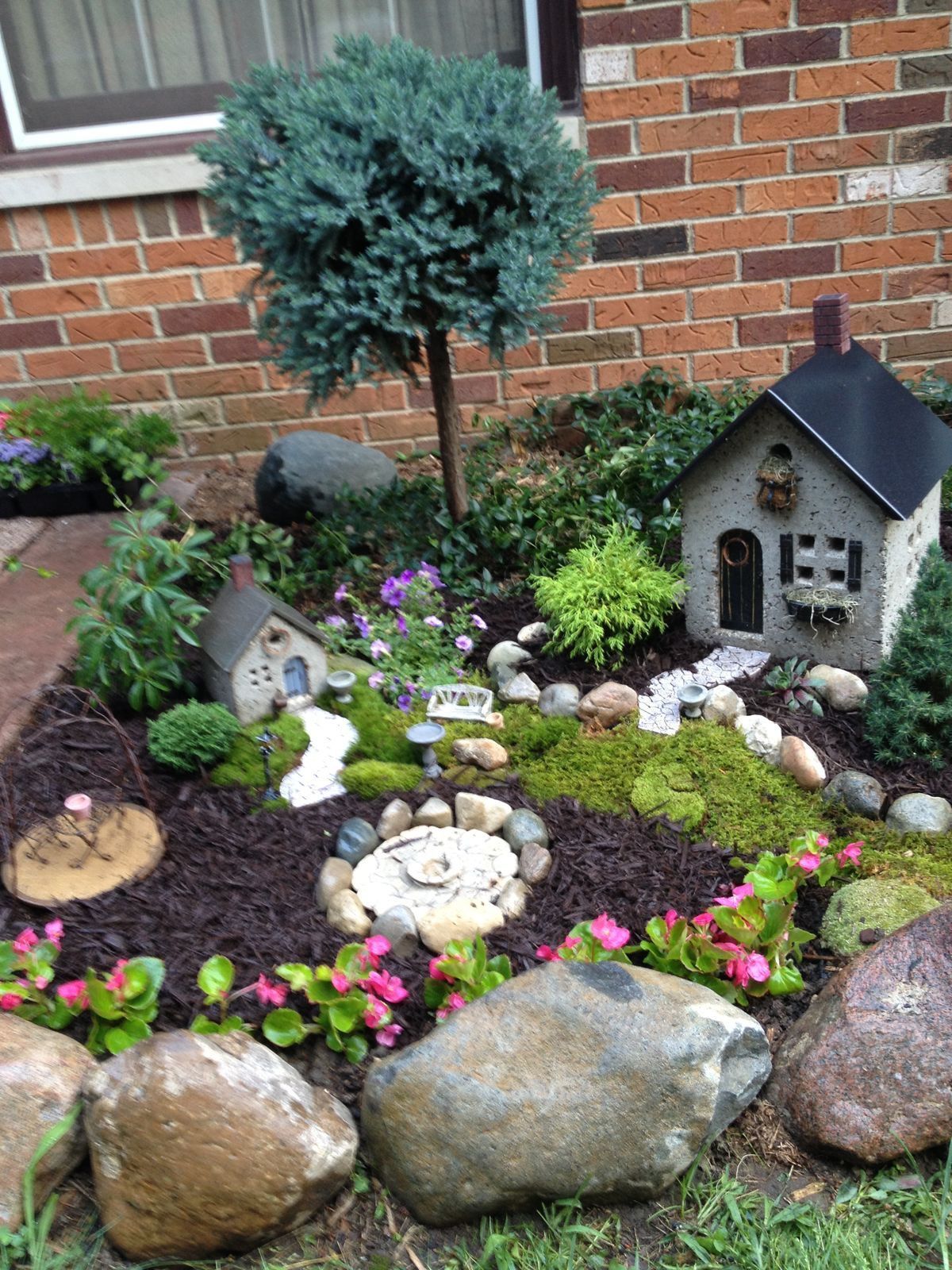 Lindo mini jardín #fairygarden