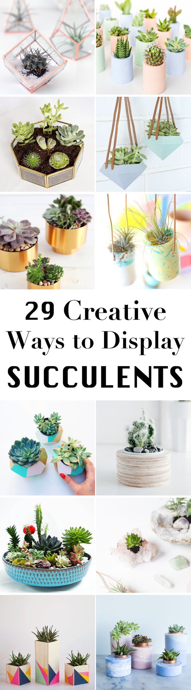 Succulent plants are perfect for decorating your home. Here are 29 ridiculously cute and easy DIY succulent planter ideas.