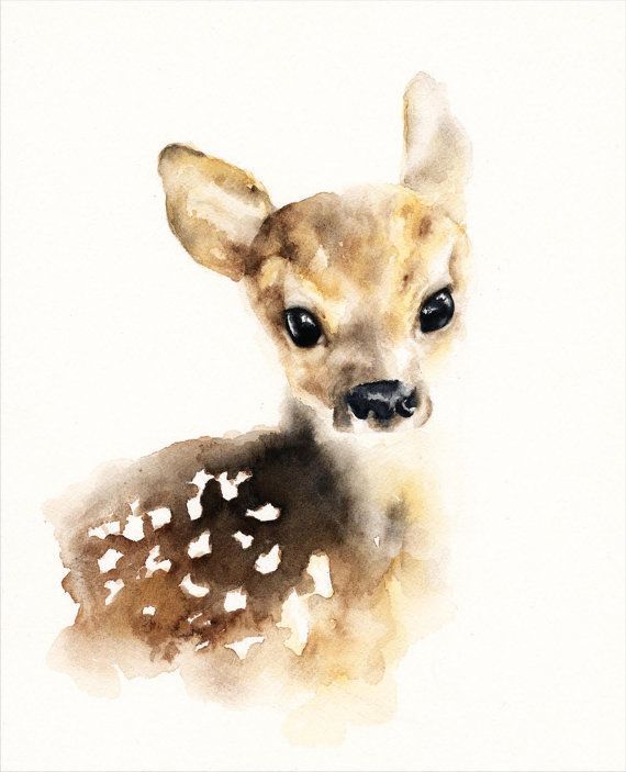 Sweet Fawn Watercolor Print. Comes in an easy to frame, standard size of 8×10 or 11×14 inches.  This beautiful piece is printed