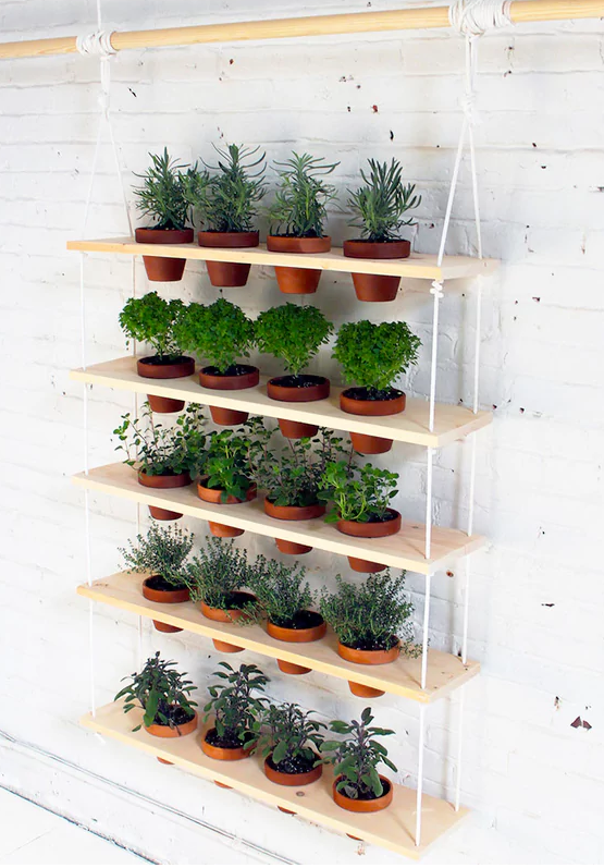This hanging herb garden will give you more space in your home by using your wall instead of a ledge or table.