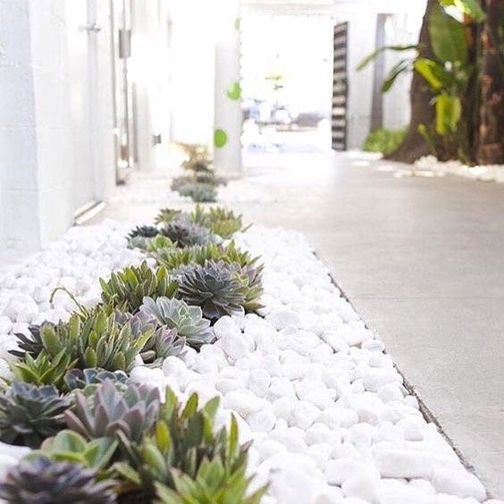 914 Likes, 12 Comments – Monrovia (@monroviaplants) on Instagram: “So simple and chic. We love the contrast between the white