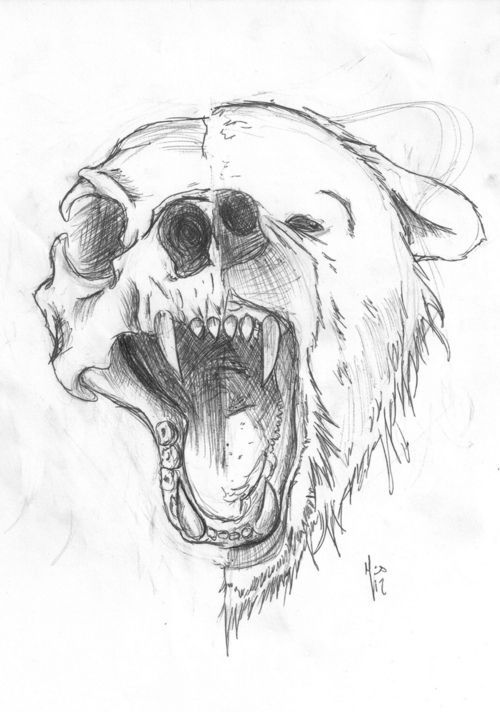 bear sketch | Tumblr Maybe make it a human face with half a skeleton, but put animal fur on the human far part