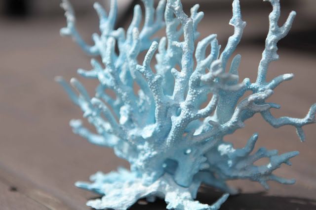 Buy some cheap aquarium coral from wal mart and spray paint to add some beachy flair to your home